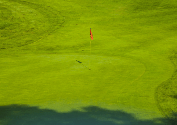 Bentgrass A4 y Pure Distinction certificado y producido en arena bajo las especificaciones de USGA