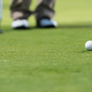 Bermuda TIFEAGLE​ Certificado por la ITGAP​