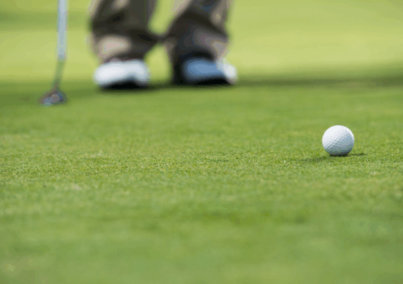 Bermuda TIFEAGLE​ Certificado por la ITGAP​